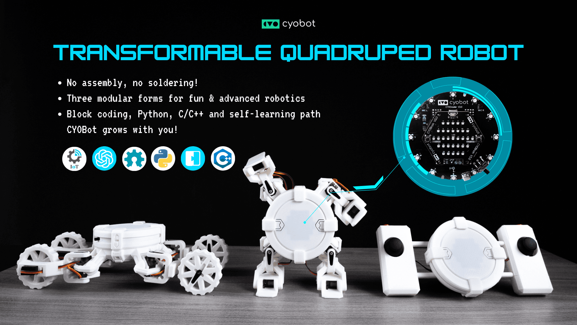 CYOBot Kickstarter